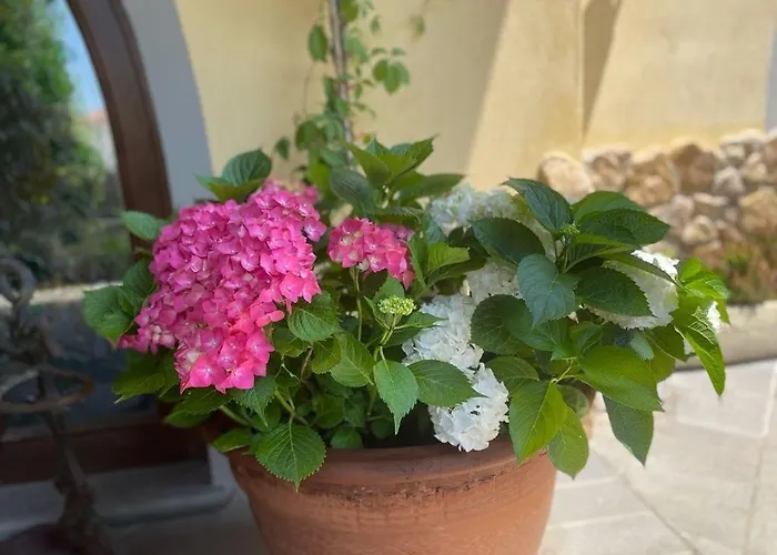 Casa Penelope Nocleg ze śniadaniem Stiava