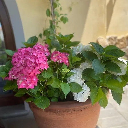 Casa Penelope Bed & Breakfast Stiava